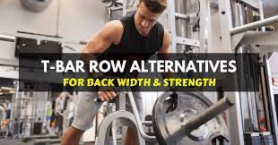 T Bar Row Alternatives