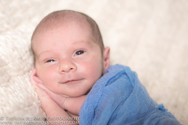 milwaukee newborn photographer, milwaukee baby photographer, milwaukee family photographer