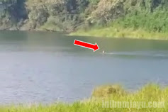 Viral Seorang Pemuda Berenang di Telaga Ranjeng