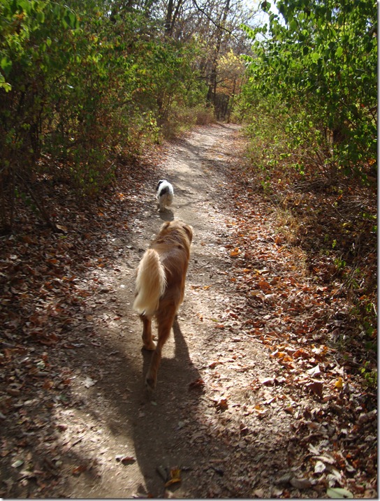 fall day with Albert and Rascal 015