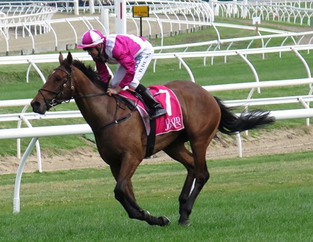 race 7_disposition 4