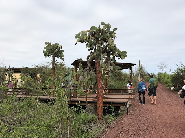 Centro de crianza Fausto Llerena en Isla Santa Cruz, Islas Galápagos