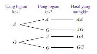 diagram pohon peluang