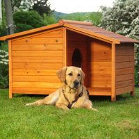 Une niche pour chien assure le bien-être et la sécurité des chiens d'extérieur. Nous vous proposons un large choix de : niches pour chien en bois ou en plastique, niches pliables, portes pour chien, enclos, barrières... 