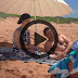 Home and Away 7145 1st July 2019 HD 720p