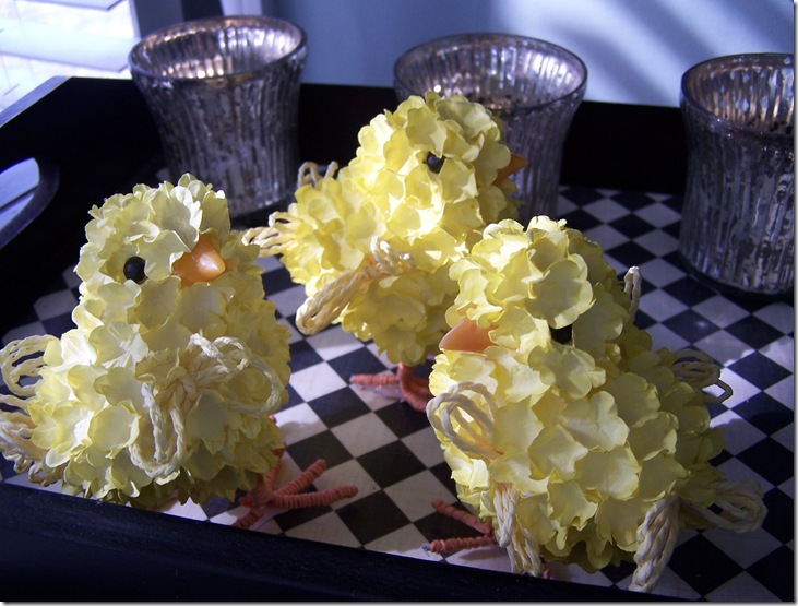Chicks 018