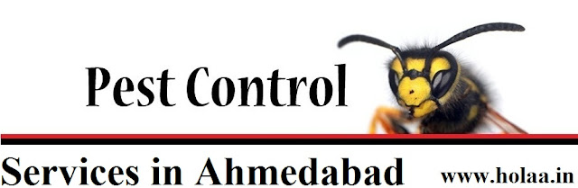 Pest Control Services in Ahmedabad