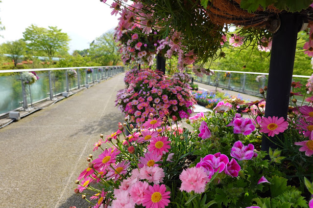 鳥取県西伯郡南部町鶴田 とっとり花回廊 プロムナード橋