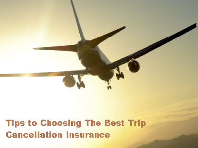 Tips to Choosing The Best Trip Cancellation Insurance