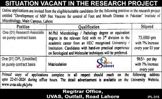 University Of Veterinary & Animal Sciences UVAS Lahore Jobs 2024