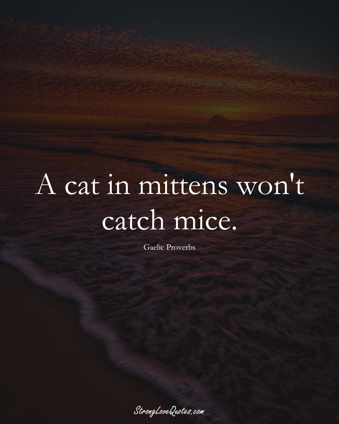 A cat in mittens won't catch mice. (Gaelic Sayings);  #aVarietyofCulturesSayings