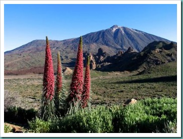 teide