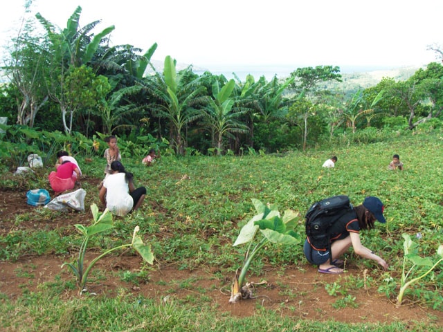 Hill Top Farm