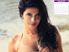 Priyanka Chopra Calendar 2014