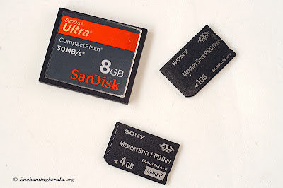 Memory Cards