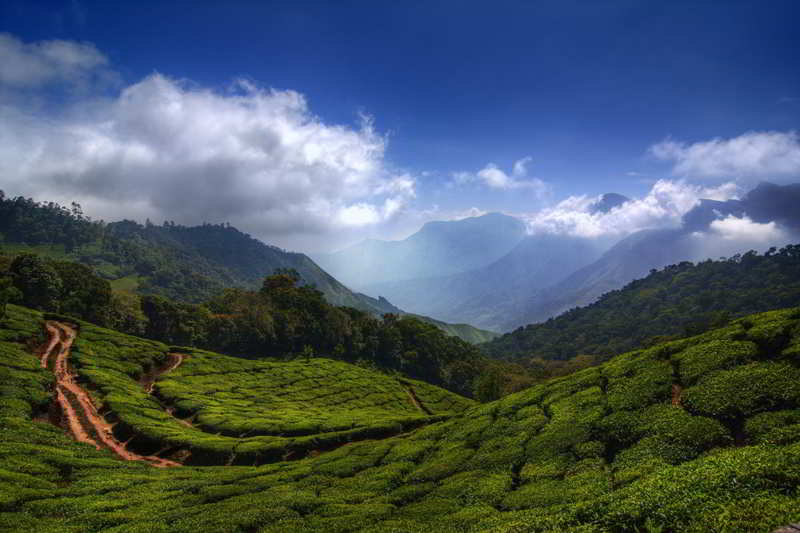 Ghats occidentales