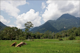 Common horses you know you want to drag kayaks into that valley, Chris Baer, Colombia, Rio, Putumayo