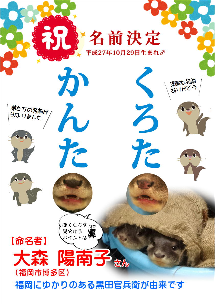 名前決定 コツメカワウソの子どもたちの命名式を開催しました