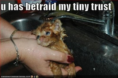 Funny Cute Kitteh Pics lolcats-funny-pictures-orange-kitten-sink-bath-betrayal-trust