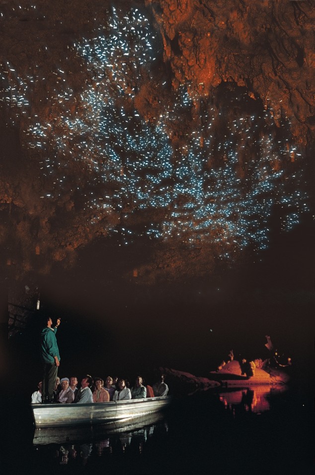 Waitomo Glowworm Caves, New Zealand