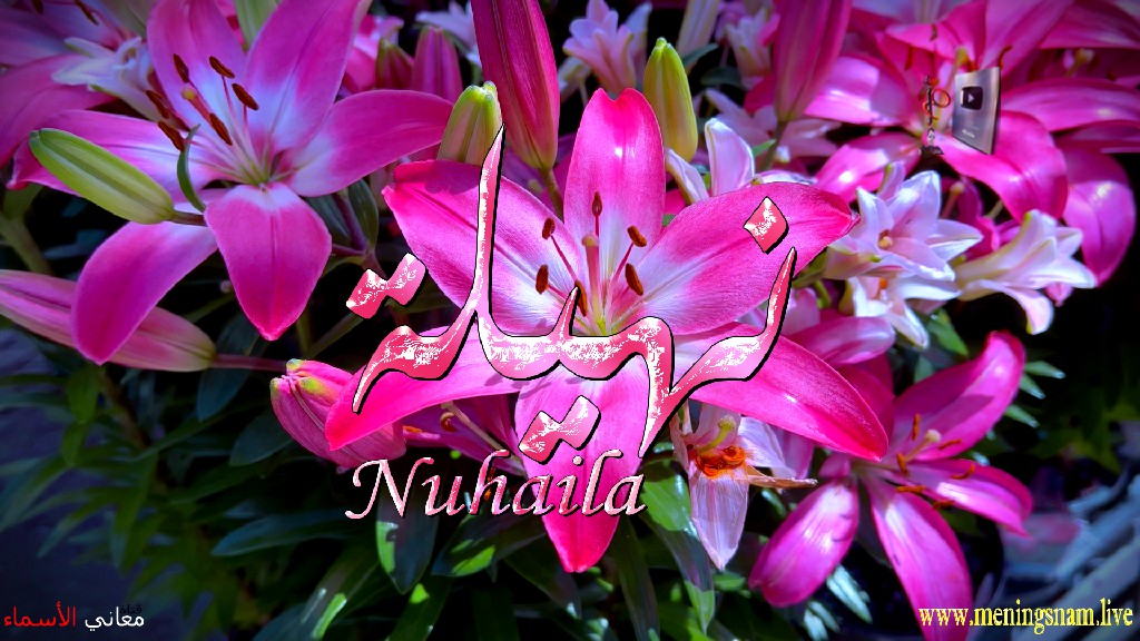 معنى اسم, نهيلة, وصفات, حاملة, هذا الاسم, Nuhaila,