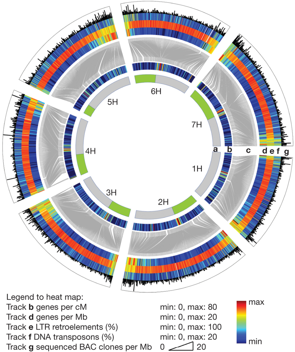 Mapa fsico del genoma de la cebada