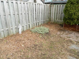 The Junction Spring Garden Cleanup After by Paul Jung Gardening Services a Toronto Gardening Company