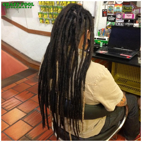 crazy fool dread