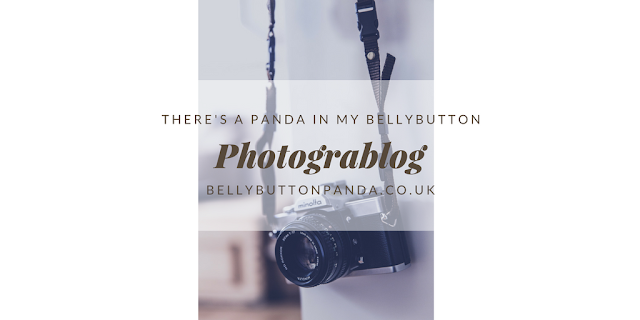 Photograblog for www.bellybuttonpanda.co.uk