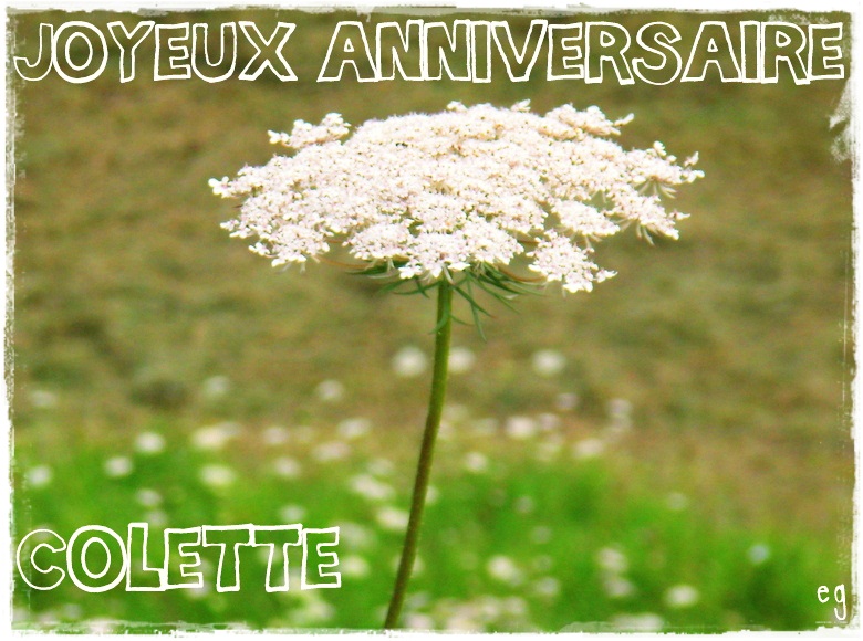 Randonnez Vous Dans Ce Blog Joyeux Anniversaire Colette