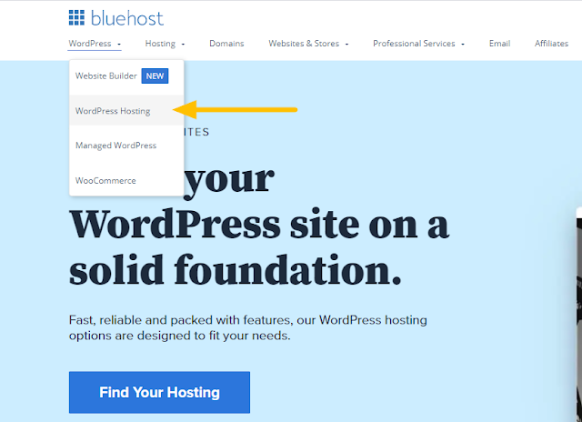 bluehost discount