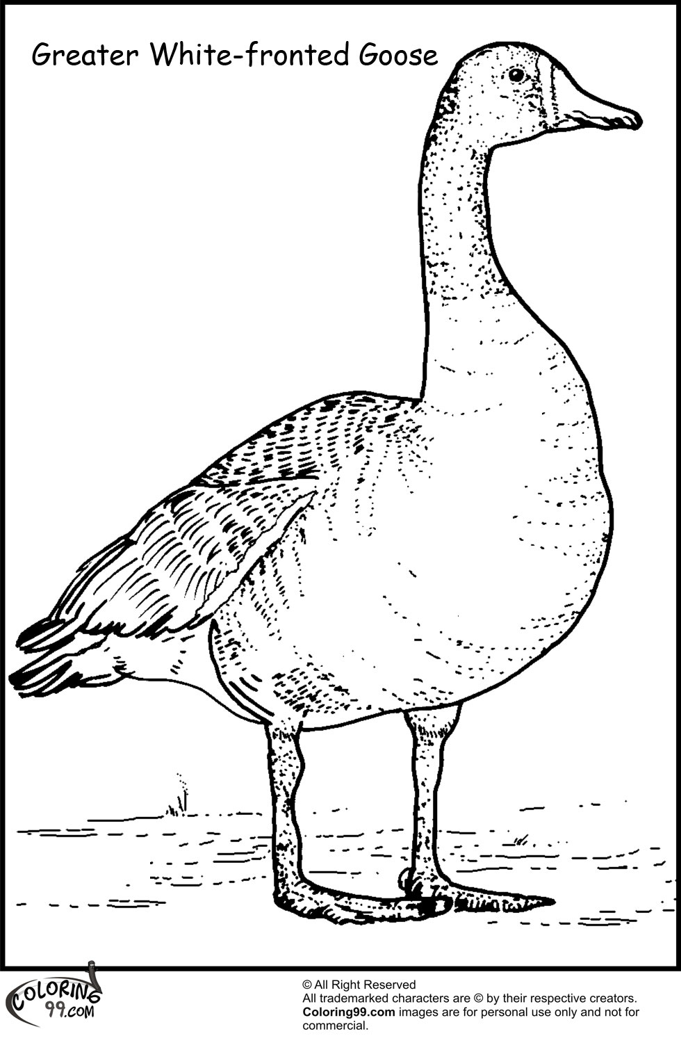 Download Duck Hunting Coloring Pages | # Fresh Coloring Pages