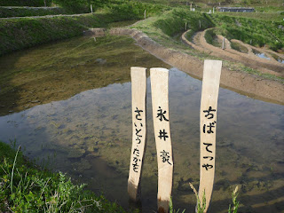 能登半島自転車1周旅行 2日目　千枚田