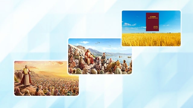 Textual description of firstImageUrl