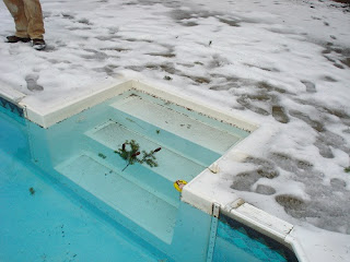 Conserva tu piscina en perfecto estado durante el invierno