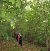 Severn Way Walk Stage 20 191010 011-1