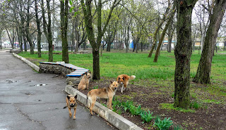 Бобринец. Парк им. Кропивницкого