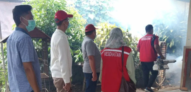 Penyebaran Demam Berdarah Dengue di Desa Way Galih