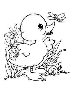 Adorable Baby Duck Coloring Sheet For Print