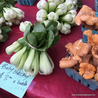 bok choy and mushrooms at Portland Farmers Market in Portland, Oregon