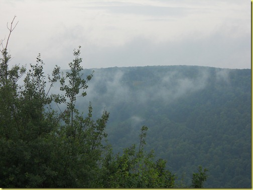 DSCN0810