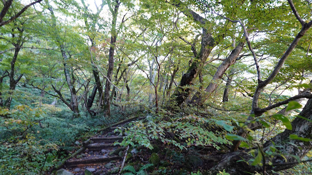 鳥取県西伯郡大山町大山 行者登山道