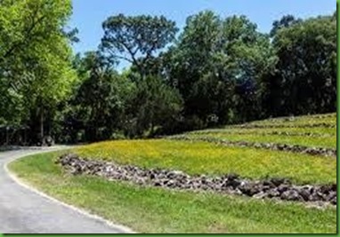 amphitheater