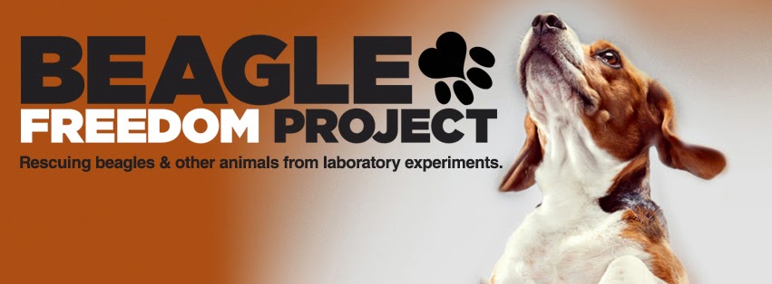 http://www.beaglefreedomproject.org/