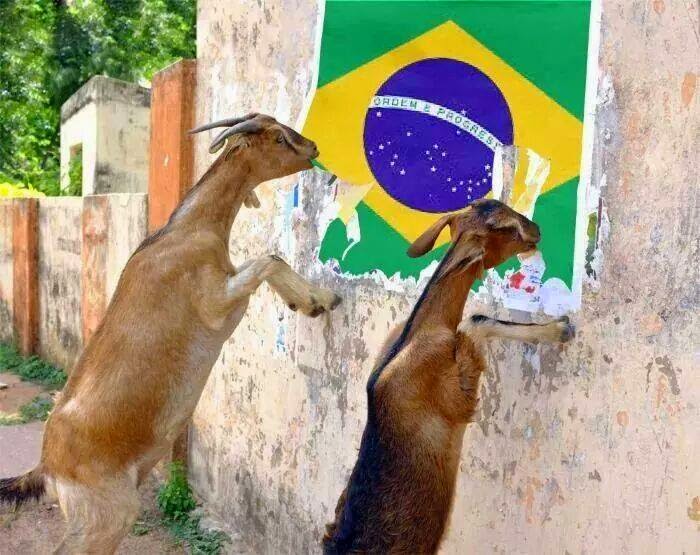 صور البرازيل مضحكة