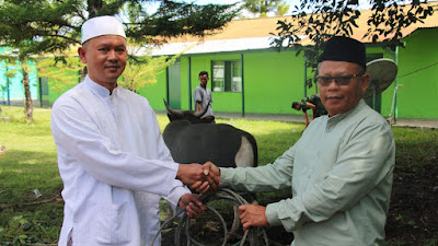 Hari Raya Idul Adha di Wamena, Kasdim 1702/Jayawijaya Serahkan Hewan Qurban