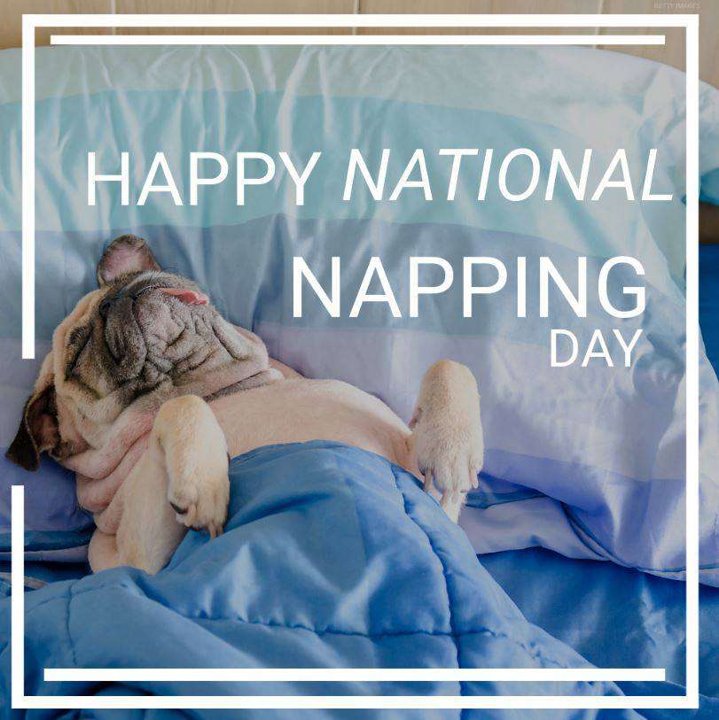 National Napping Day Wishes For Facebook
