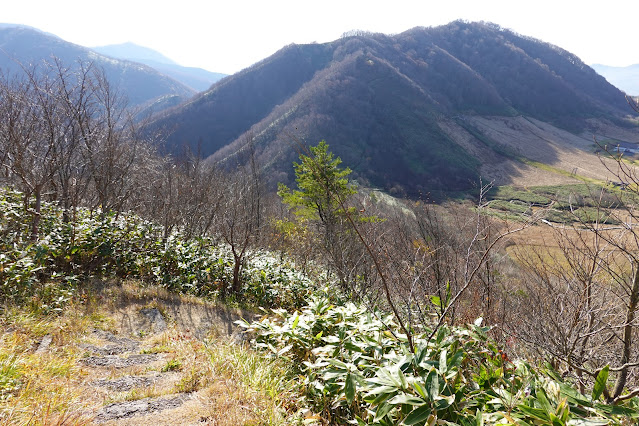 鳥取県倉吉市関金町野添 象山登山道からの眺望 擬宝珠山