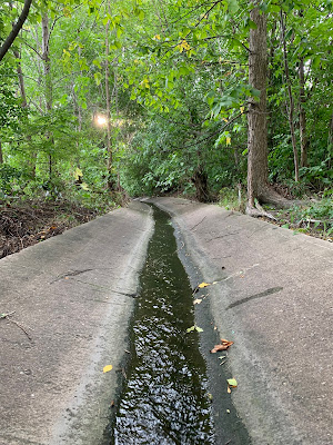Earnscliffe Park concrete channel stream