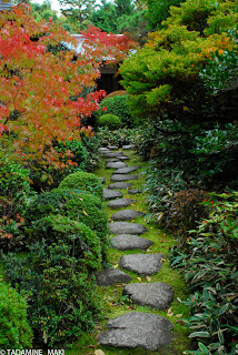 Stepping stones to a tea house, at Koto-in, Daitokuji Temple, in Kyoto